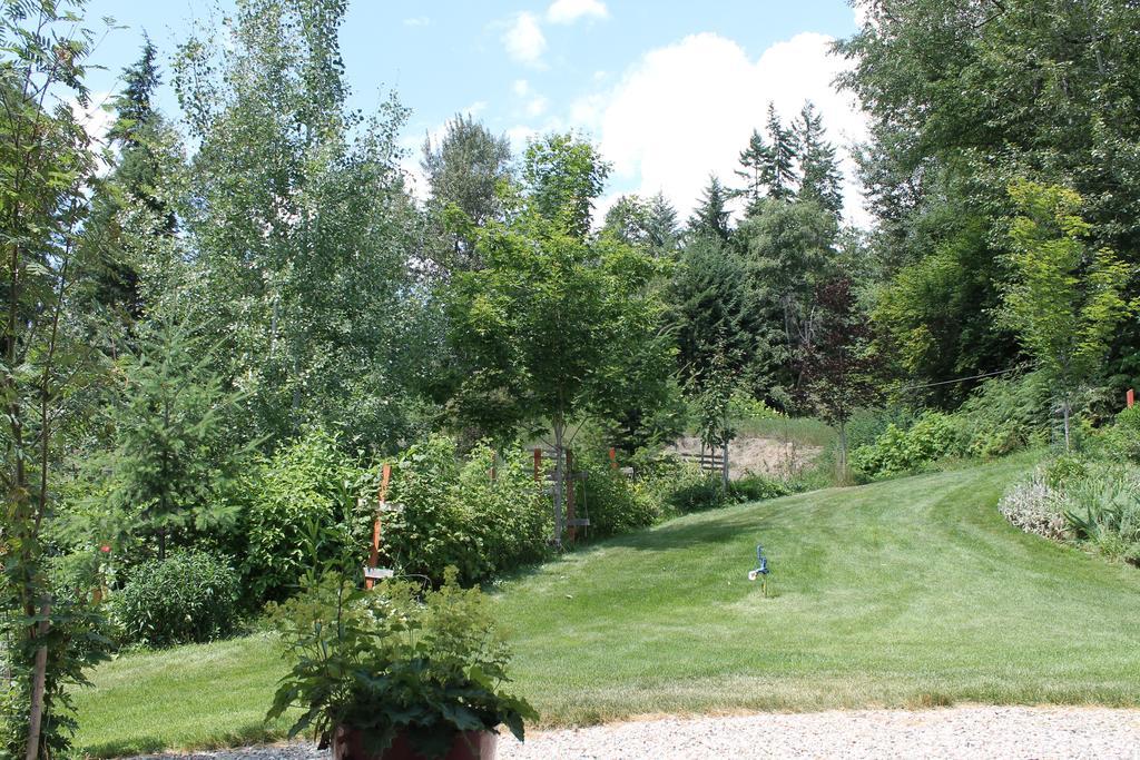 Windborne Bed & Breakfast Каслгар Экстерьер фото